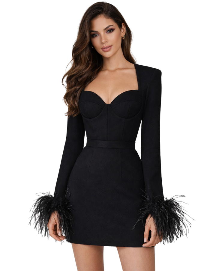 Black Sweetheart Long Sleeve Feather Trim Minidress