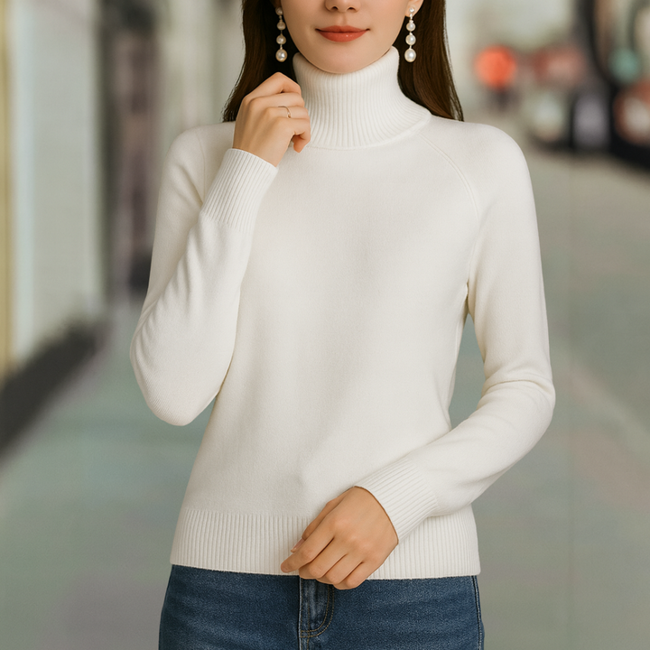 Heather Ultra Soft Classic Pullover Knit Turtleneck Sweater