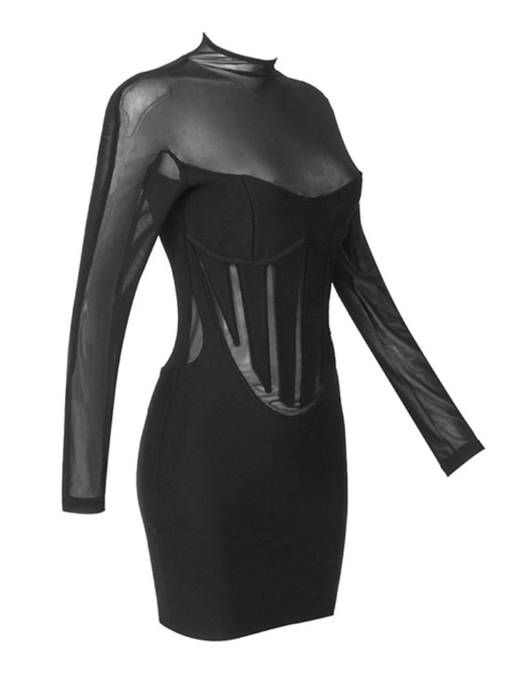 Black Sheer High Neck Shaping Long Sleeve Mini Dress