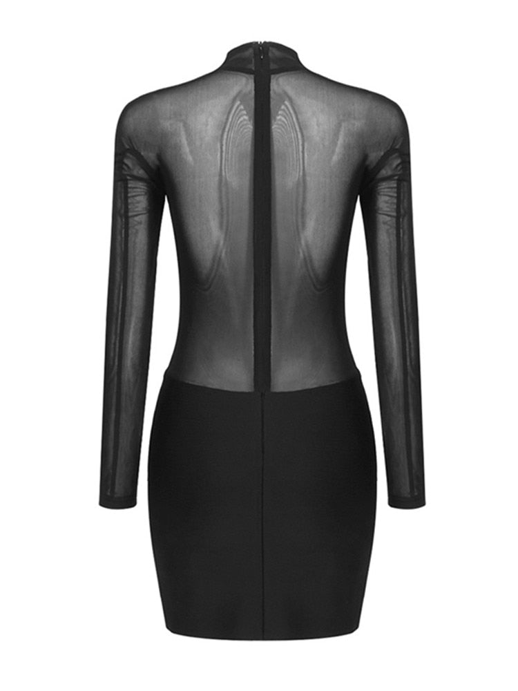 Black Sheer High Neck Shaping Long Sleeve Mini Dress