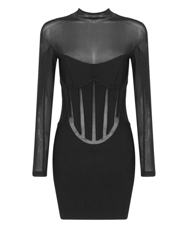 Black Sheer High Neck Shaping Long Sleeve Mini Dress