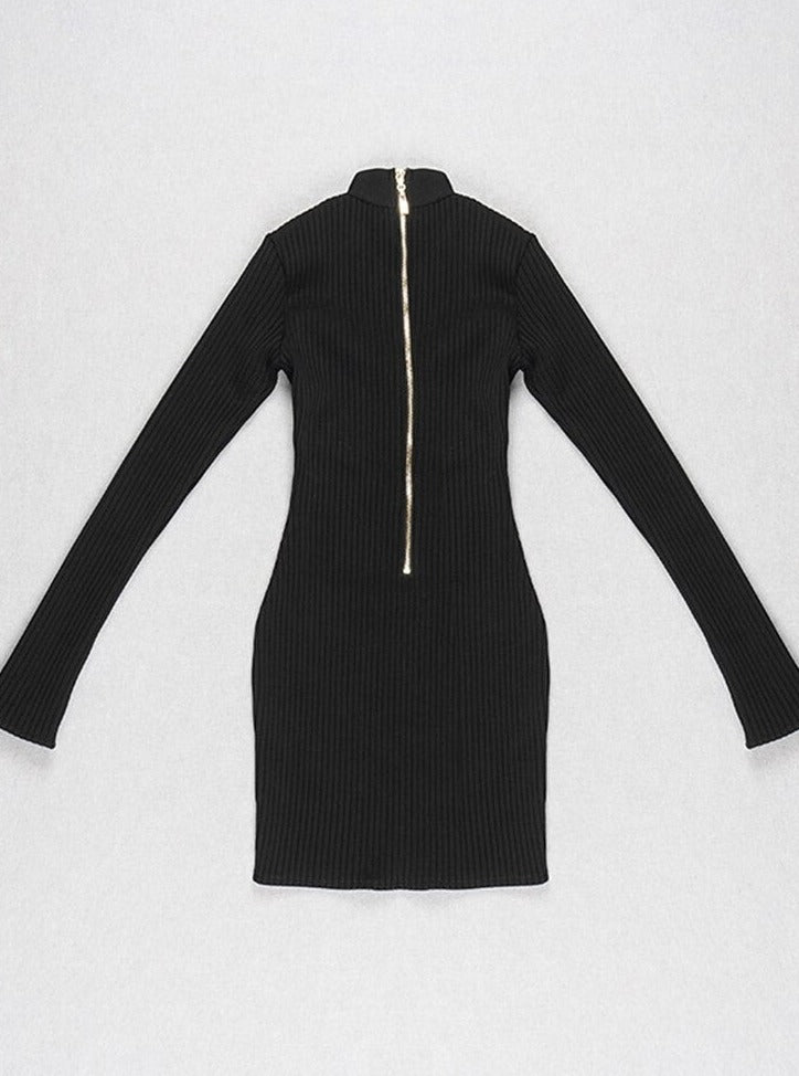 Black Mesh Cut Out Long Sleeve Mini Dress