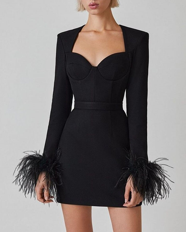 Black Sweetheart Long Sleeve Feather Trim Minidress